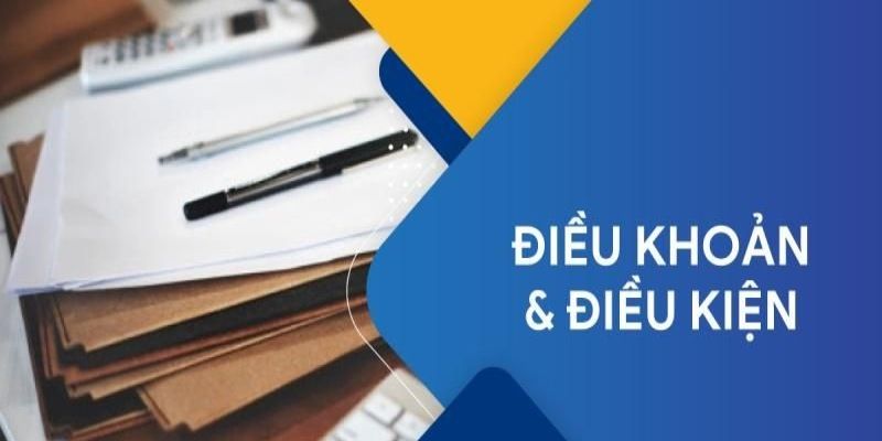 Đôi nét về điều khoản điều kiện