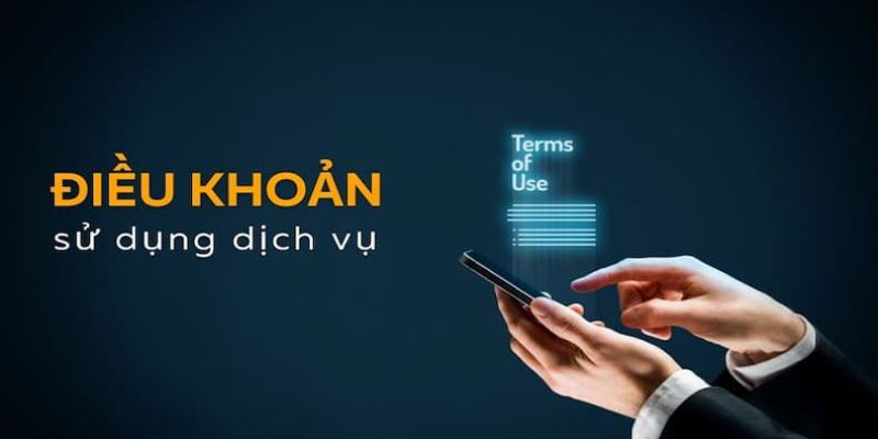 Điều khoản điều kiện bao gồm nhiều nội dung quan trọng