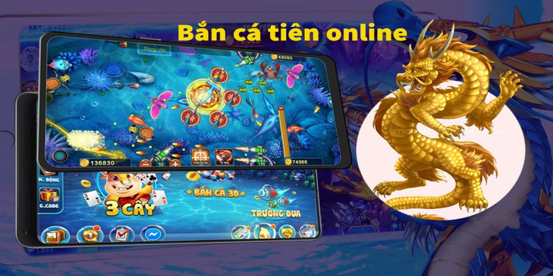Bí kíp săn cá đỉnh cao từ các cao thủ hàng đầu
